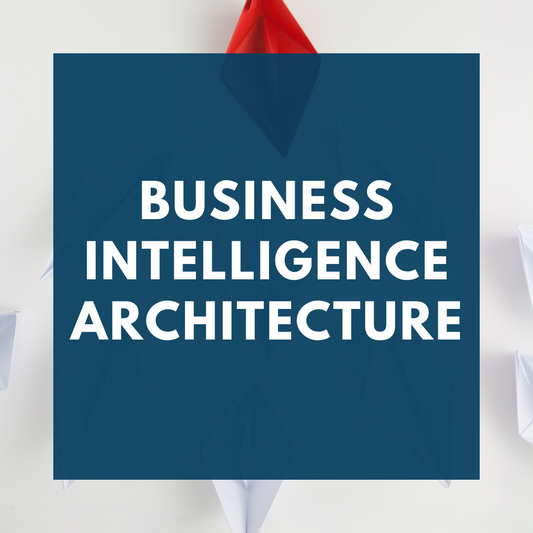 Business Intelligence Architecture (P.Log)