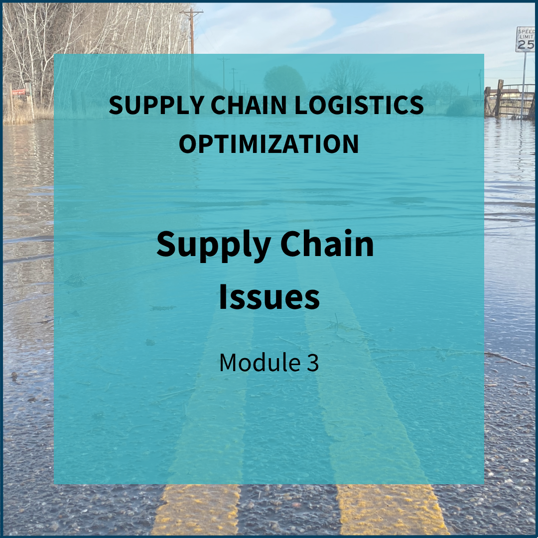 Supply Chain Issues