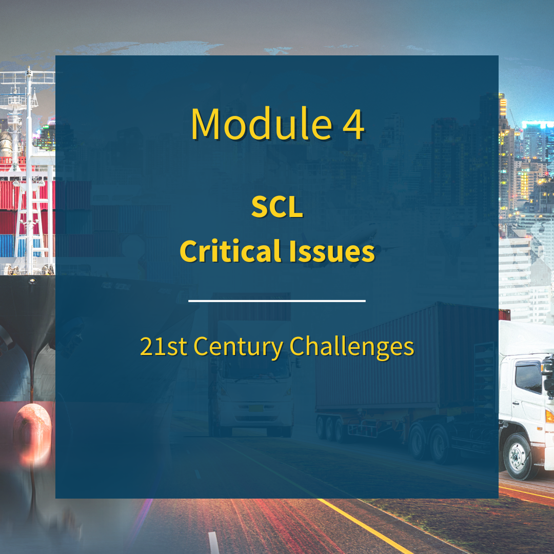 Supply Chain Critical Issues