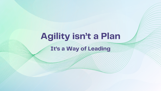 Organizational Agility Beyond Project Management