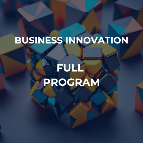 Business Innovation Program