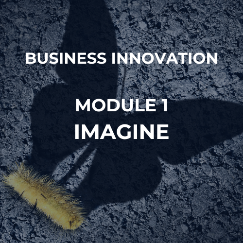 Module 1: Imagine