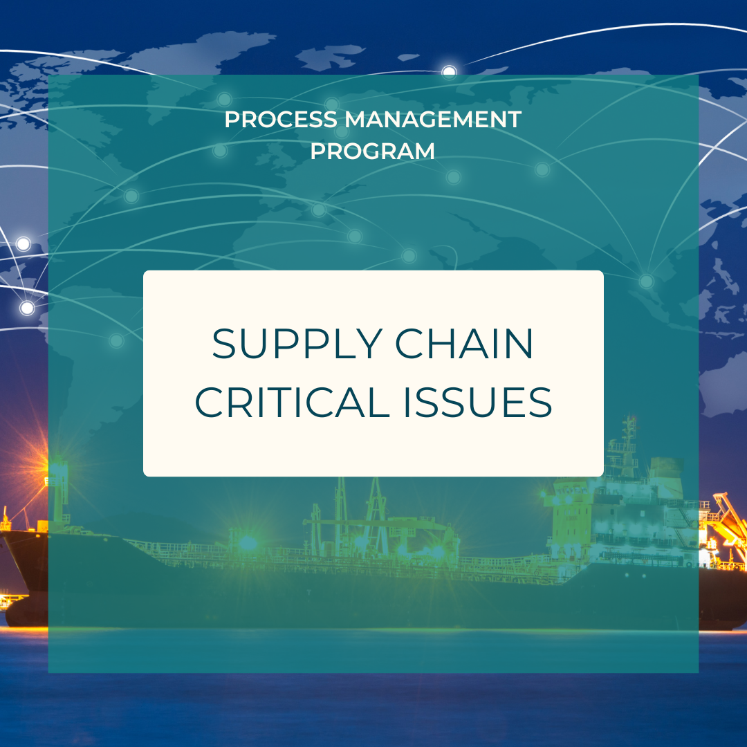 Supply Chain - Critical Issues