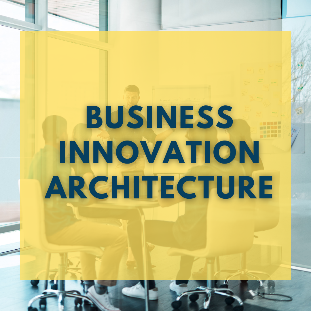 Business Innovation Architecture (P.Log)