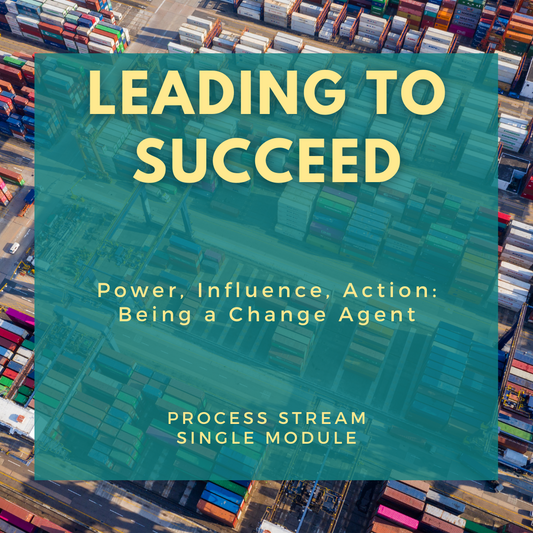 Process - Leading to Succeed