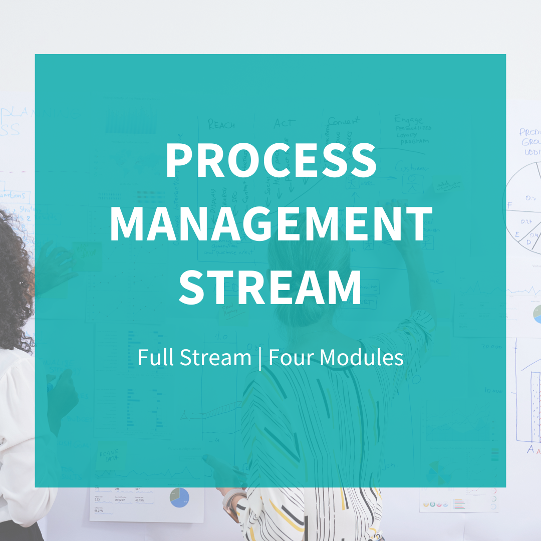 Process Stream Summary The Process Management Stream – The Logistics Institute