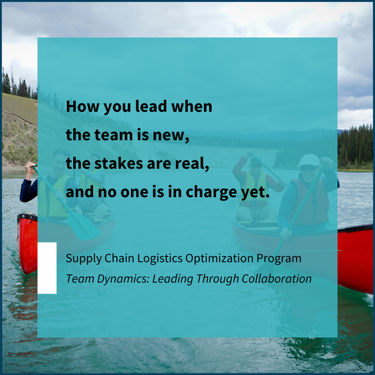 Online Leadership Course for supply chain professionals