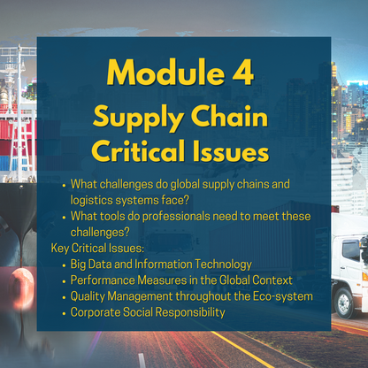 Supply Chain Critical Issues