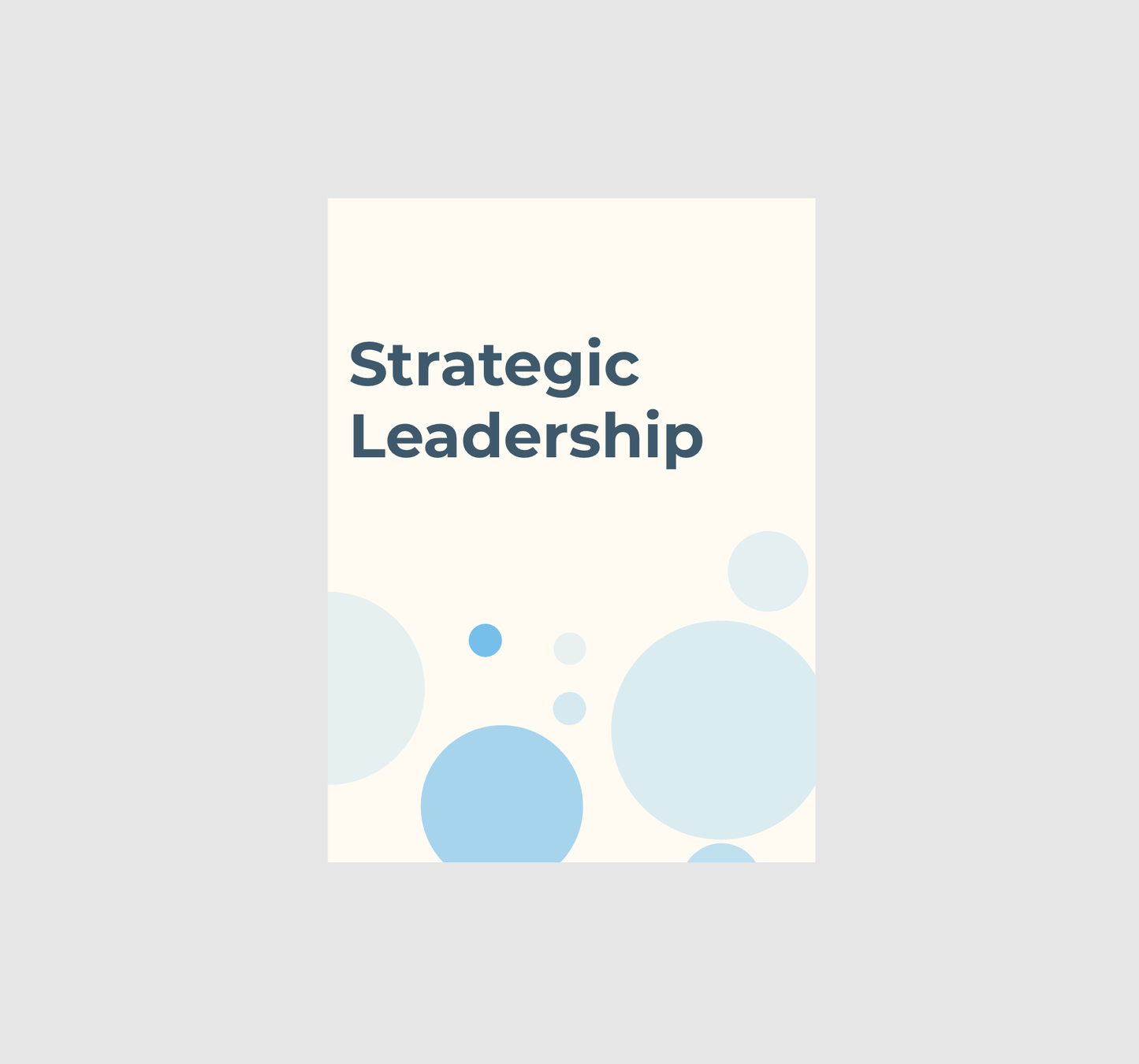 Your Values & Strategic Leadership (P.Log only)
